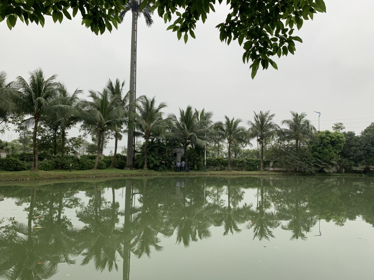 AFFORDABLE PARTLY FURNISHED VINHOMES RIVERSIDE VILLA CLOSE TO BIS AND GOLF PRACTICE TO LEASE 8