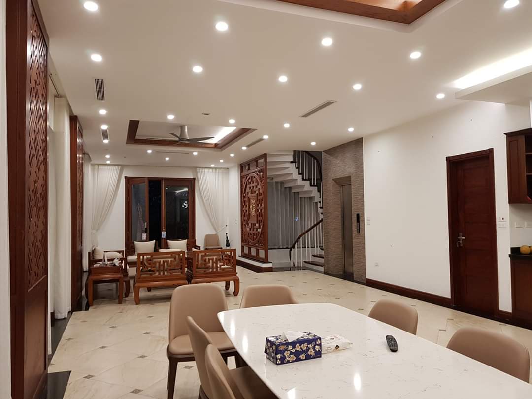 Brand New Furnished Vinhomes Riverside Villa With Elevator To Lease 4