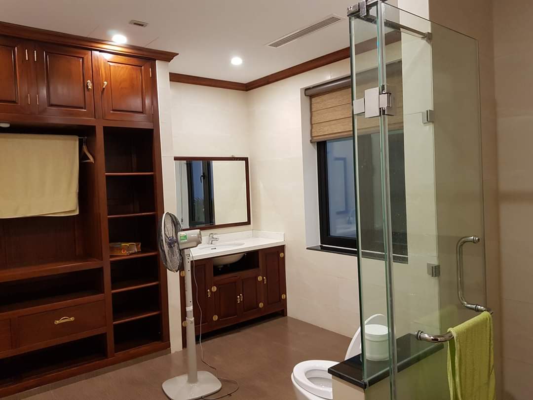Brand New Furnished Vinhomes Riverside Villa With Elevator To Lease 5