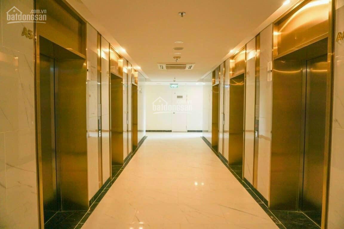 Brand-new 1 bedroom Apartment in the ZenPark Vinhomes Ocean Park, modern design 5