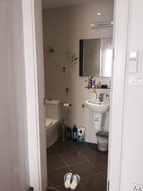 Hoa Lan villa with 5 bedrooms in Vinhomes Riverside Long Bien for rent 14