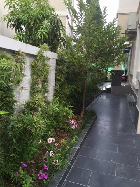 Hoa Lan villa with 5 bedrooms in Vinhomes Riverside Long Bien for rent 2