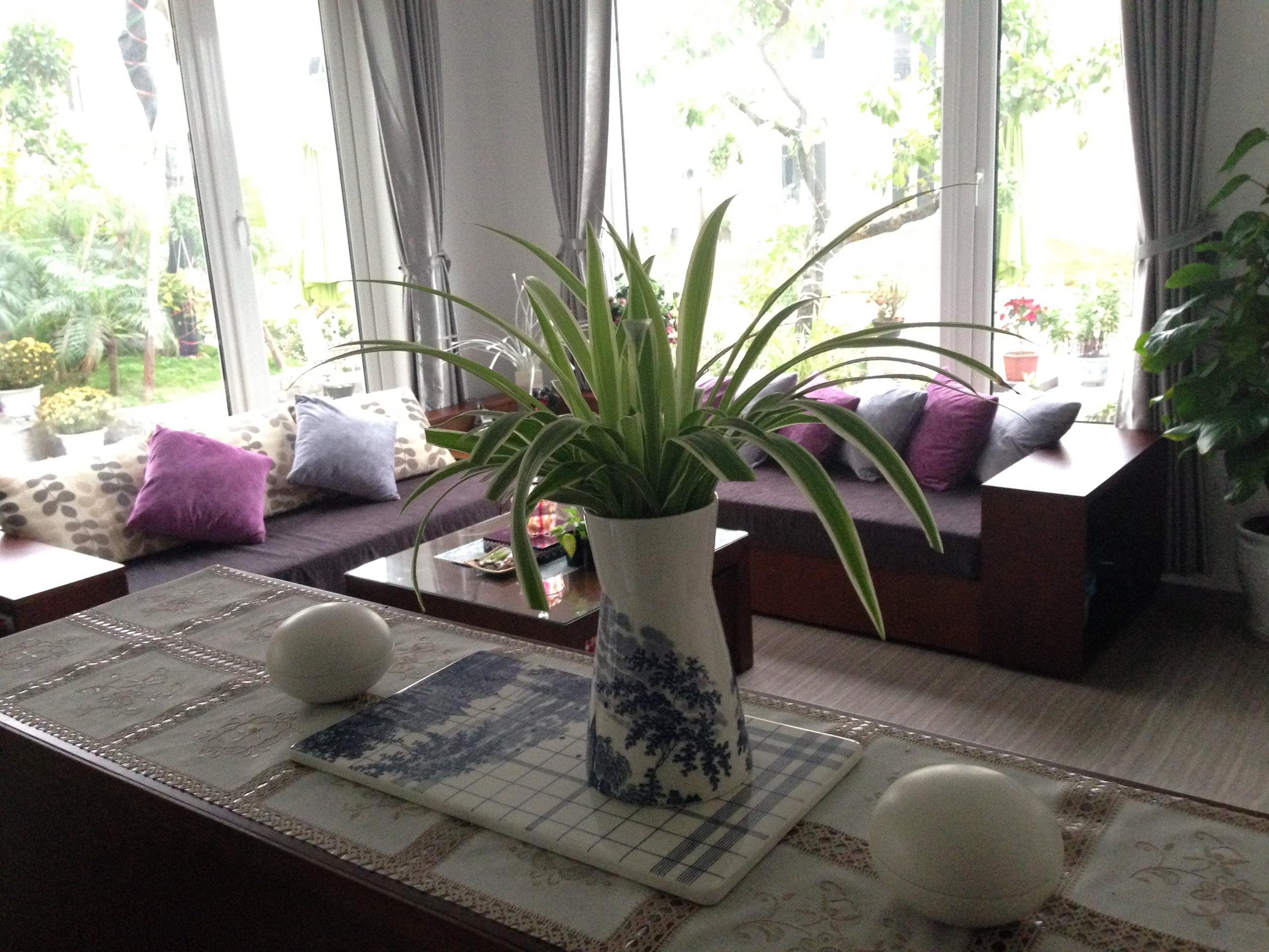 Precious villas for rent in Hoa Sua - Vinhomes Riverside 4