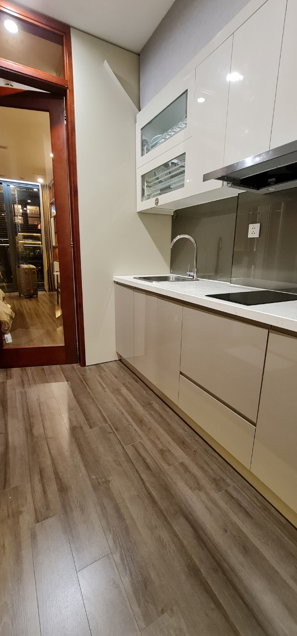 Studio apartment for rent, fully furnished, high floor, building S1 at Vinhomes Symphony 3
