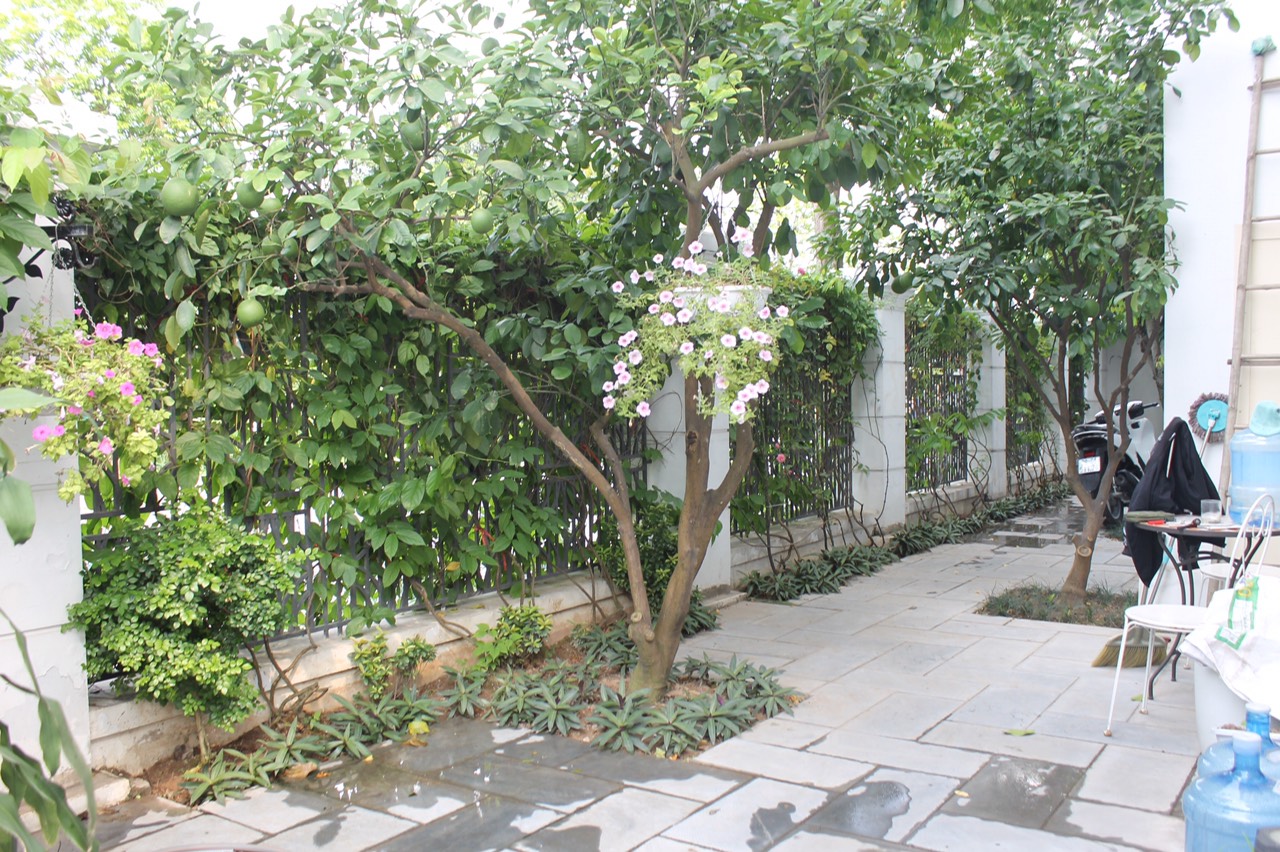 Villa in Huong Duong Vinhomes Riverside The Harmony for sale 45 bilion dong 12