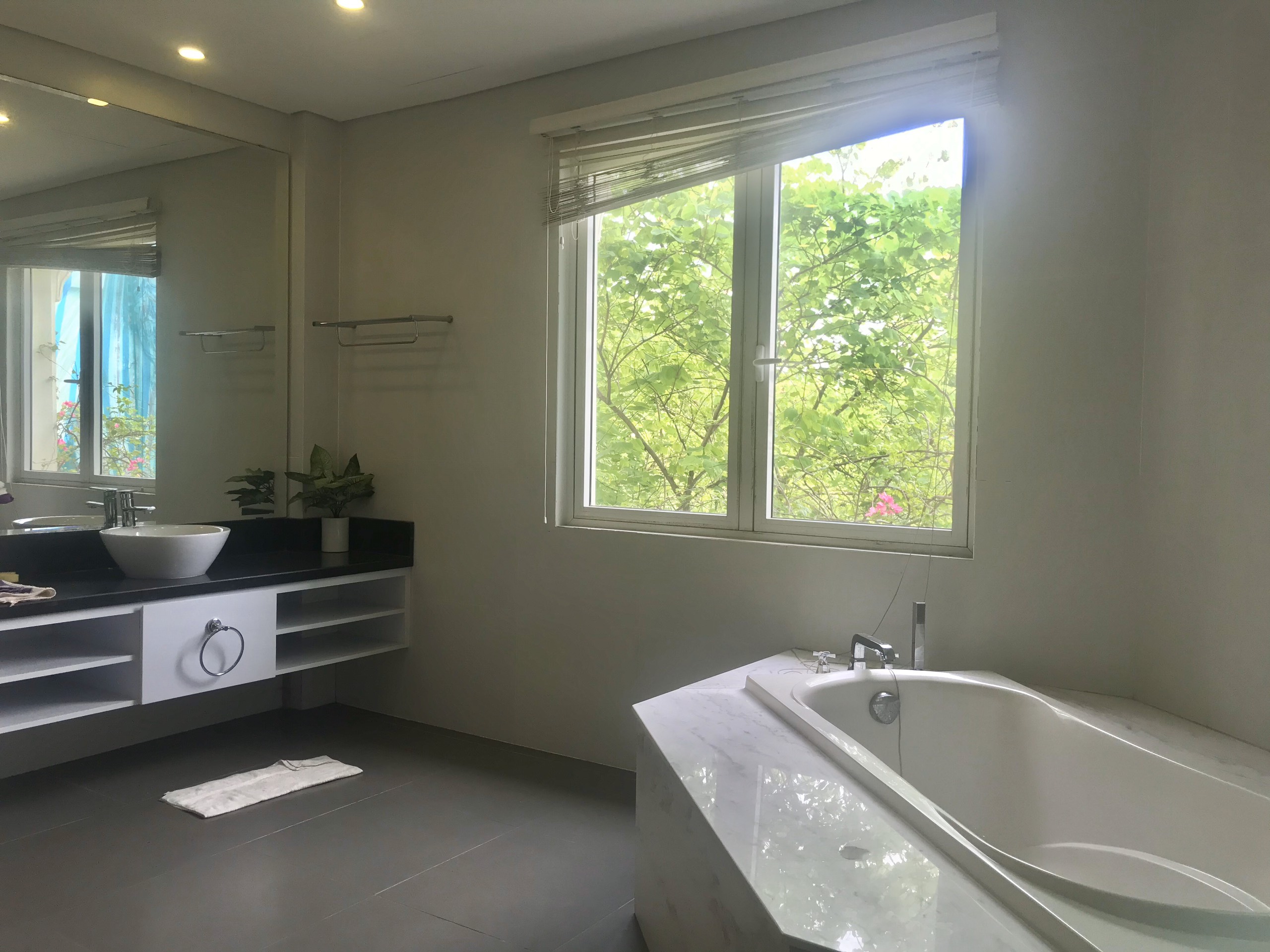 Vinhomes Riverside Lovely Garden Furnished Villa For Rent. Close to BIS, ALMAZ 11