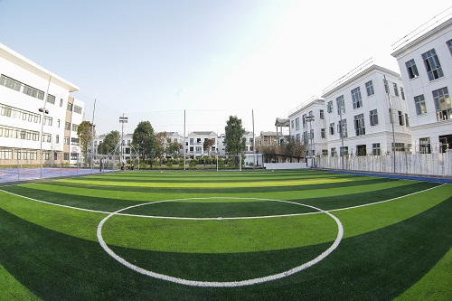 Football field